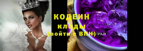 хмурый Алексин