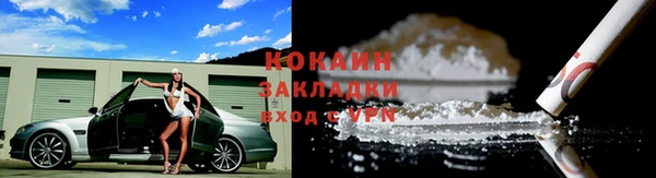 хмурый Алексин