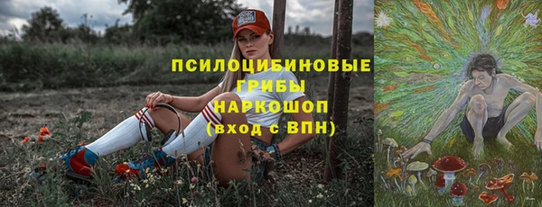 гидра Алексеевка