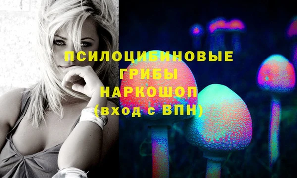 хмурый Алексин