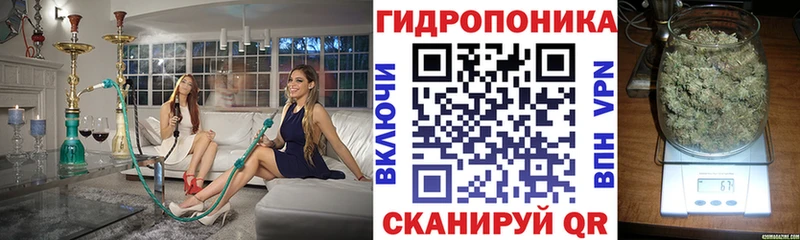 где продают наркотики Тобольск Шишки марихуана индика